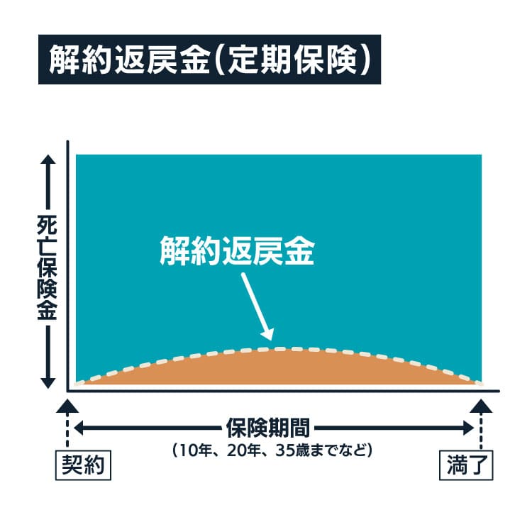 定期保険の解約返戻金