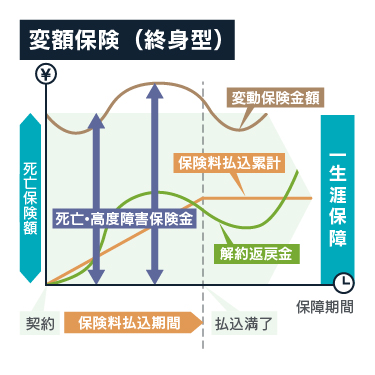 変額保険(終身型)